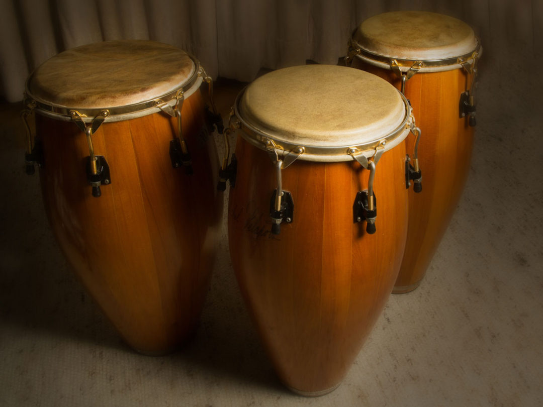 Conga Michael Siefke